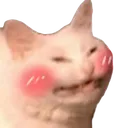 Blushingcat BlushingCat Discord Emoji