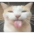 sennykBLEH