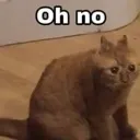 ohno