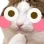 Mrkittyflush