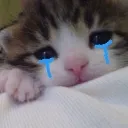 mentalbreakdown4