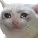 sad_cat
