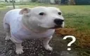 compressedhuh