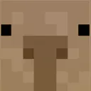 Capycraft