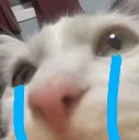 swiffercri