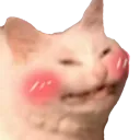 emoji_41