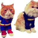 kitesandflypikachu