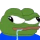 Peepsteroji_pepe1FeelsDumMan
