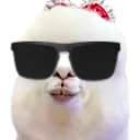 coolpaca