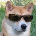 Sunglasses_Doge