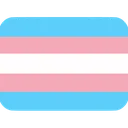 trans_flag