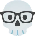 skull_nerd skull_nerd