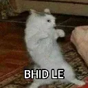 bhidLe_b