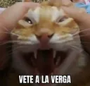 vetealaverga