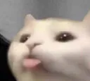 Cuteamoji_KittyTongue