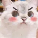 Cuteamoji_KittyAngrAnty
