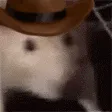 ratJAM