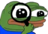 peepoInvestigate