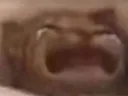 waaaah