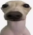 kumalaladog