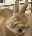 AAAAA