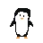 penguinpet