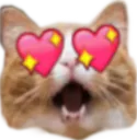 cat_heart_eyes