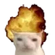 brainfart