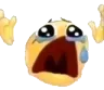whyy