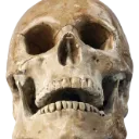 im_Dead_Skull