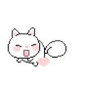 kitten