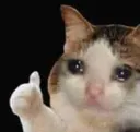 chat1