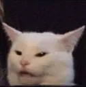 chat5