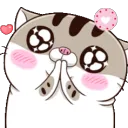 aww