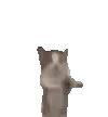 catdance