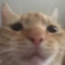 QGatu