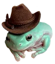 frogcowboy