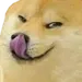 doge