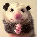 pleasedontkillme