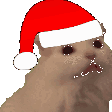 SantaHowl Discord Emoji