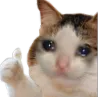 sadcat1 sadcat1