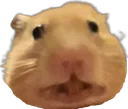 HamiltonGrimace