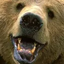 happybear