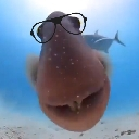 :akshally: