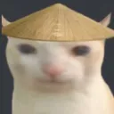 RiceHatBoi