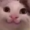 catHappy