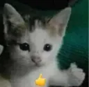 cliffy_ok
