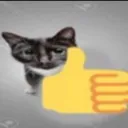 verynicecat Discord Emoji