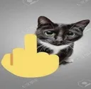 verymeancat Discord Emoji