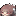 :AFoxy_HeheLaugh: